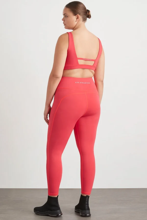 Contour Plunge Sports Bra 342
