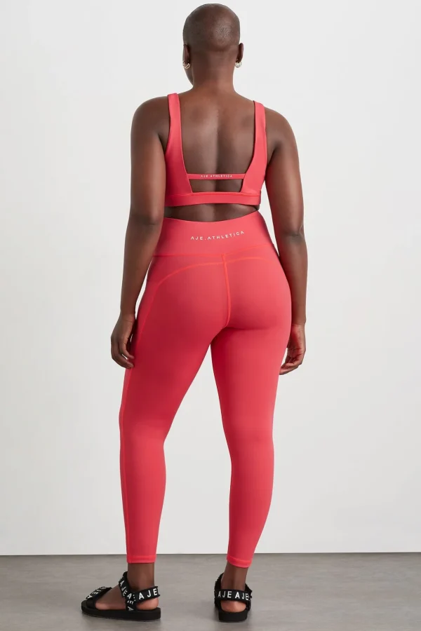 Contour Plunge Sports Bra 342