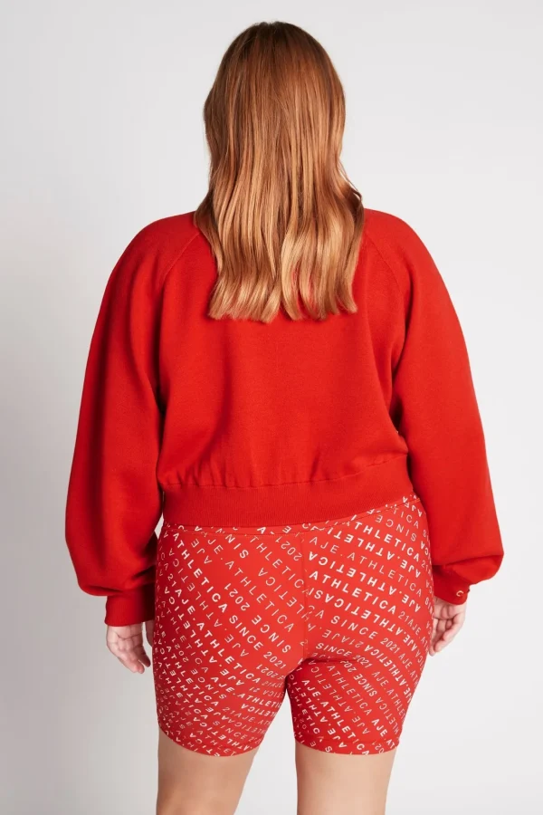 Cropped Knit Funnel Neck Jumper 408