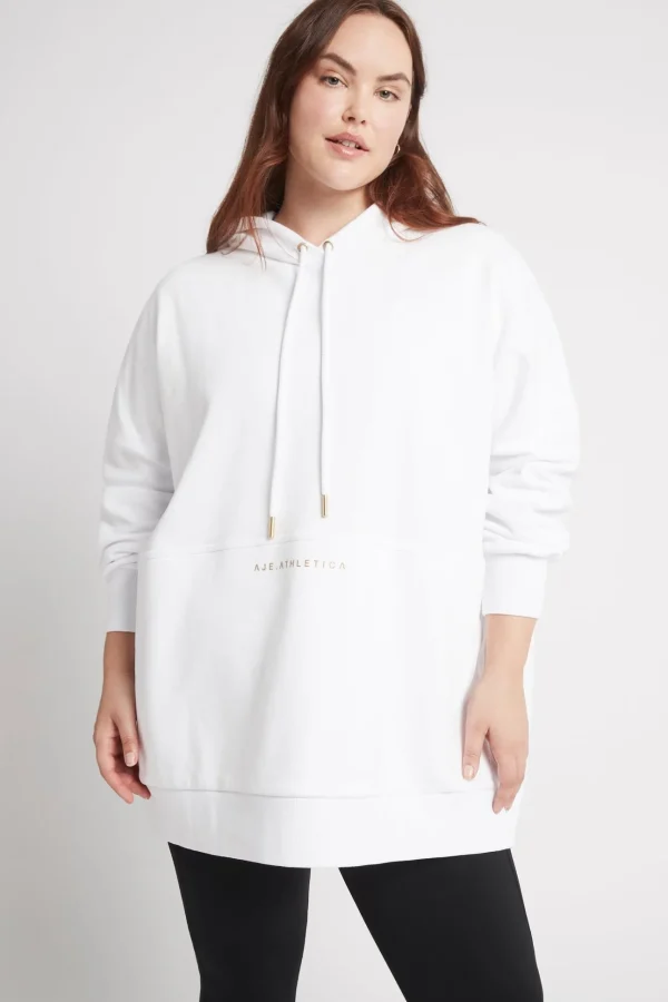 Long Sleeve Hoodie Dress 804