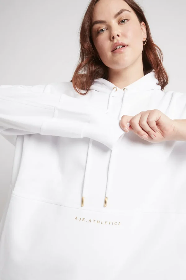 Long Sleeve Hoodie Dress 804