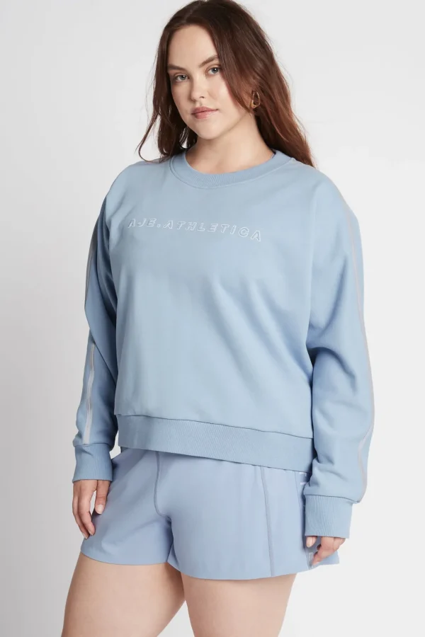 Signature Logo Crew Jumper 401