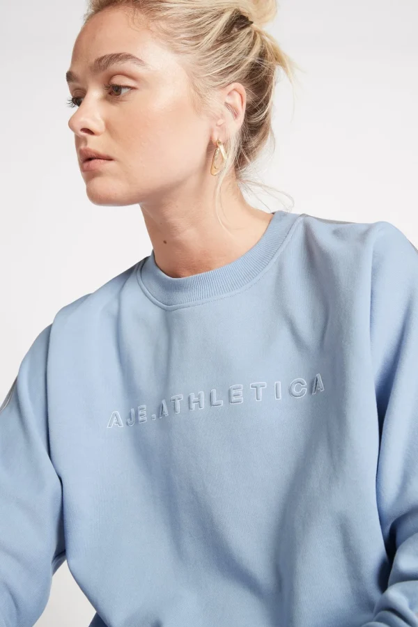 Signature Logo Crew Jumper 401