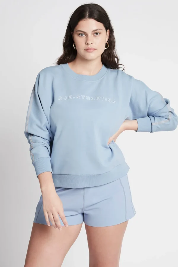 Signature Logo Crew Jumper 401