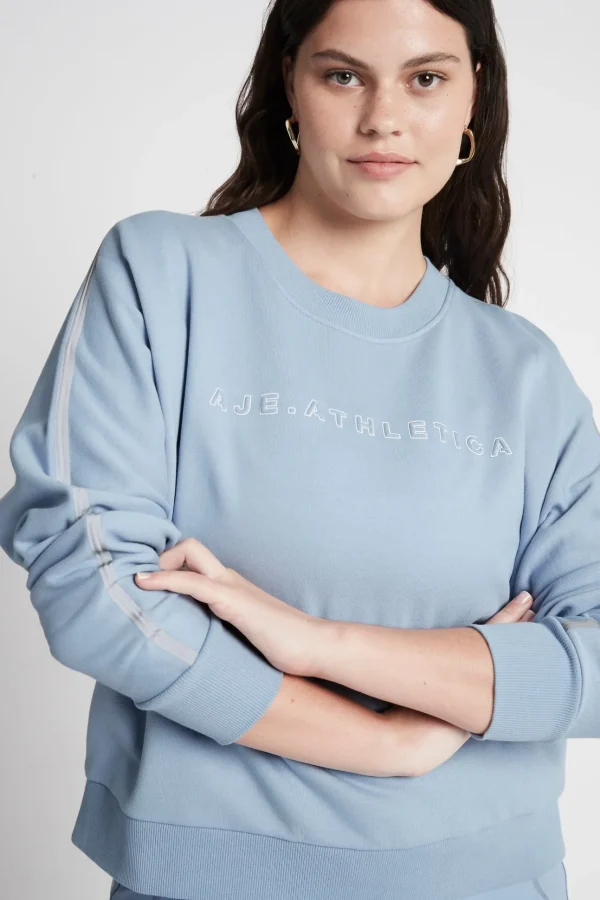 Signature Logo Crew Jumper 401
